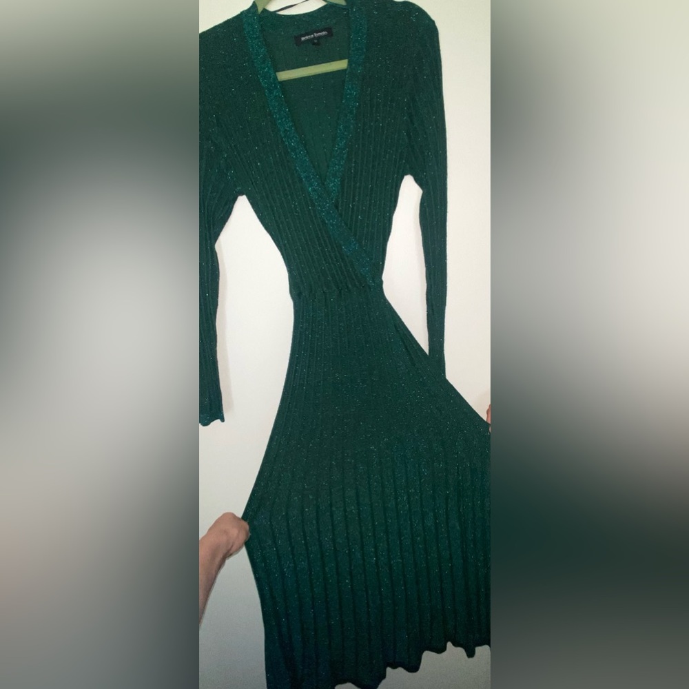 Shimmering Dark Green Long Sleeve Dress